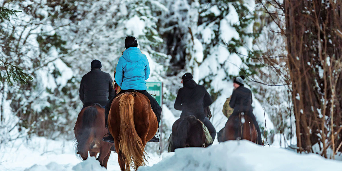 Winterreiten - Winterurlaub in Radstadt, Ski amadé