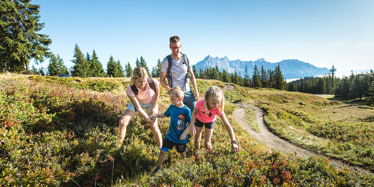 Wandern - Sommerurlaub in Radstadt, Salzburger Land