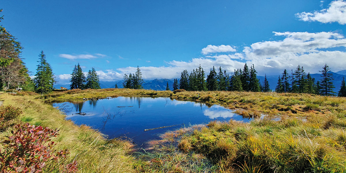 Wandern im Sommerurlaub, Salzburger Land